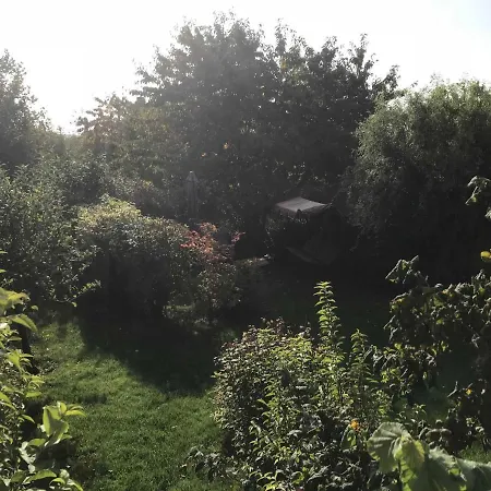 In Sonniger Lage In *