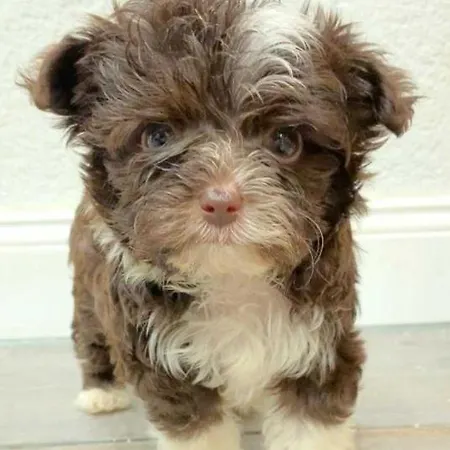 In Sonniger Lage In * Sagard