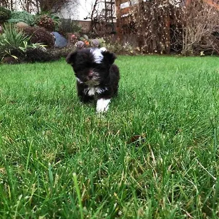 In Sonniger Lage In Sagard